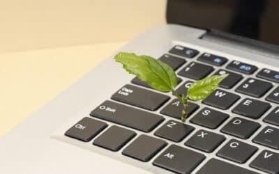Sostenibilidad Empresarial: Cómo el Alquiler de Equipos Informáticos Contribuye a un Futuro Verde